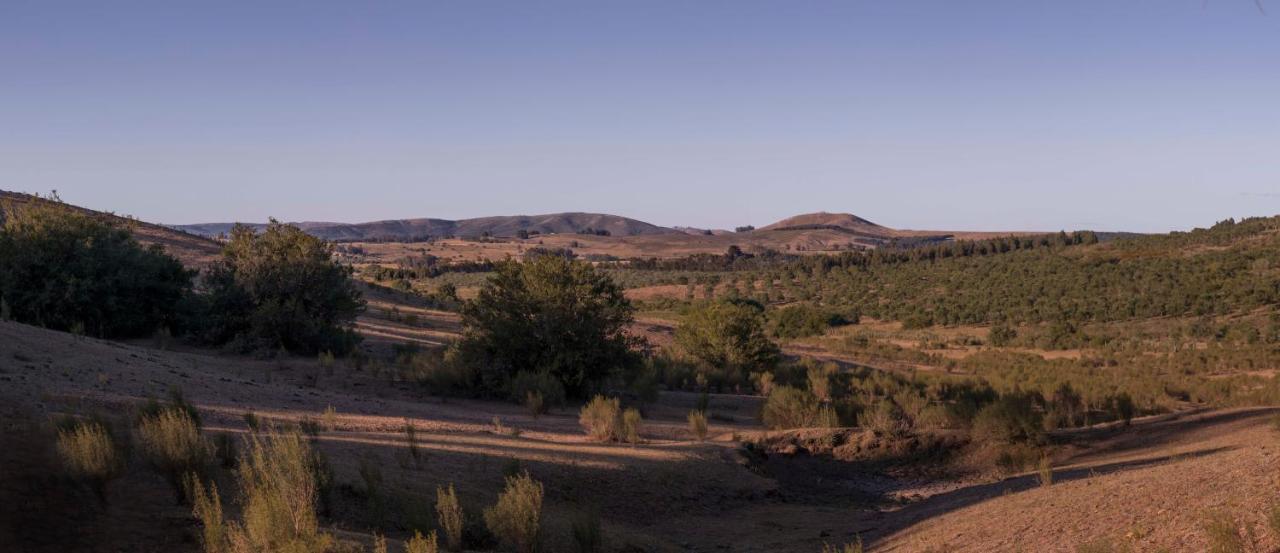 Posada La Serena Minas Ngoại thất bức ảnh